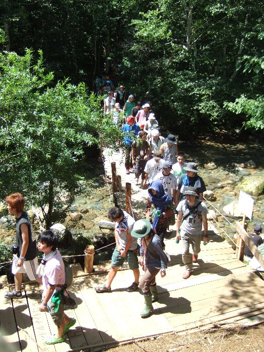 ところ天国ほどの幅はなく、ボードウォークの延長です。