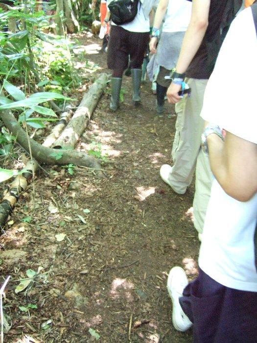 土のボードウォークその1。 