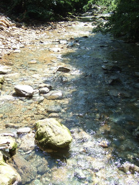 橋から見えるグリーン・ステージ側の風景。