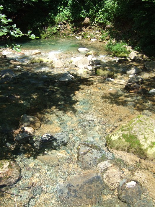 ホワイト・ステージ側の風景。蛇行しているのでホワイト・ステージは見えません。 