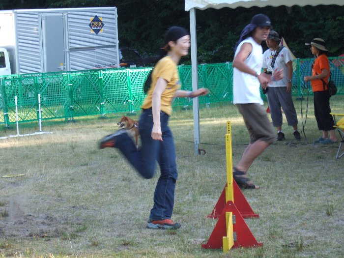 本来は犬がやる障害物タイム・トライアルをヒトがやっていました。