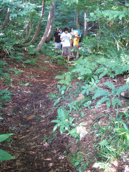 山を1つ越えるので、やや高低差があります。アバロン・フィールドからホワイト・ステージへはかなり急勾配の坂道を下るように、アバロン・フィールドそのものがかなり標高が高いので、フィールド・オブ・ヘブンからアバロン・フィールドへ行くときも坂を登ることになります。