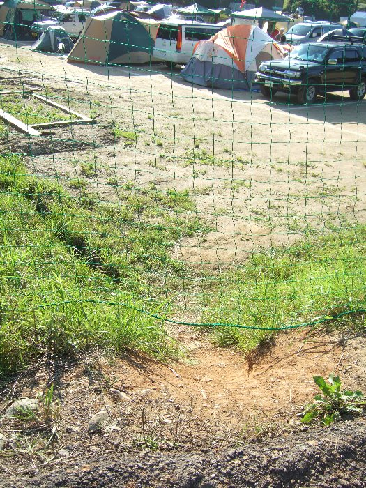 網をくぐって近道。 