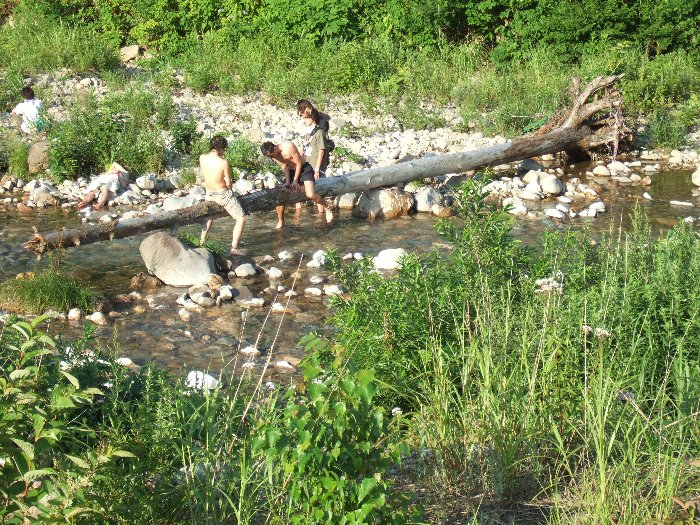 わざわざ遊ぶために置かれたような流木。