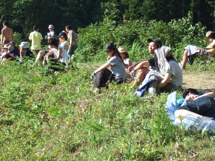 オレンジ・コートの入り口を右に行くと、土手を歩くことができます。その道がストーンド・サークルへの通路です。 