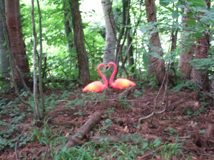 ピンクフラミンゴのハートマーク。 