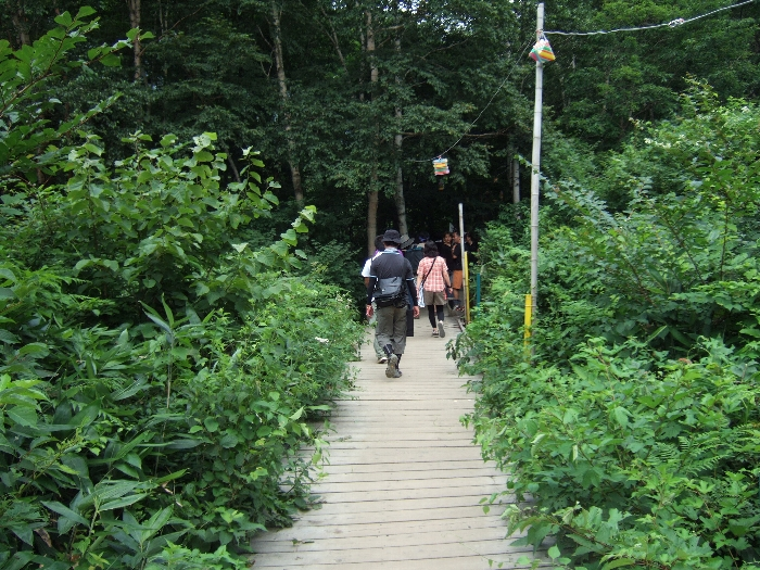 左へ曲がってすぐ行くと森の中に入ります。 