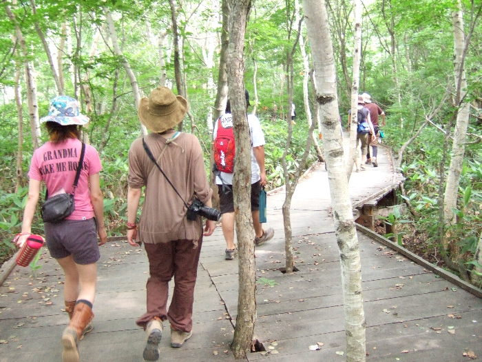 明るいと緑が映えます。 