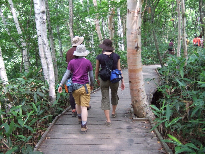 もうすぐ板がなくなります。 