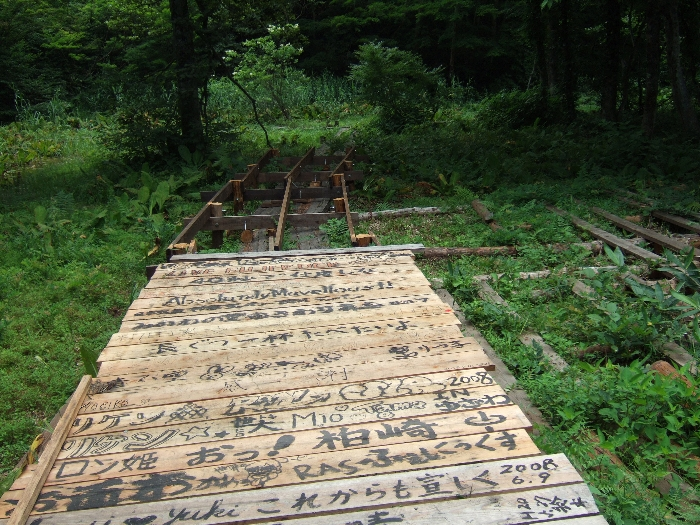 グリーンステージ方面へ行くボードウォークを歩いていると、途中でT字路があり、右に曲がると未完成のボードウォークが現れます。2009年以降はどうなっているのか分かりません。 