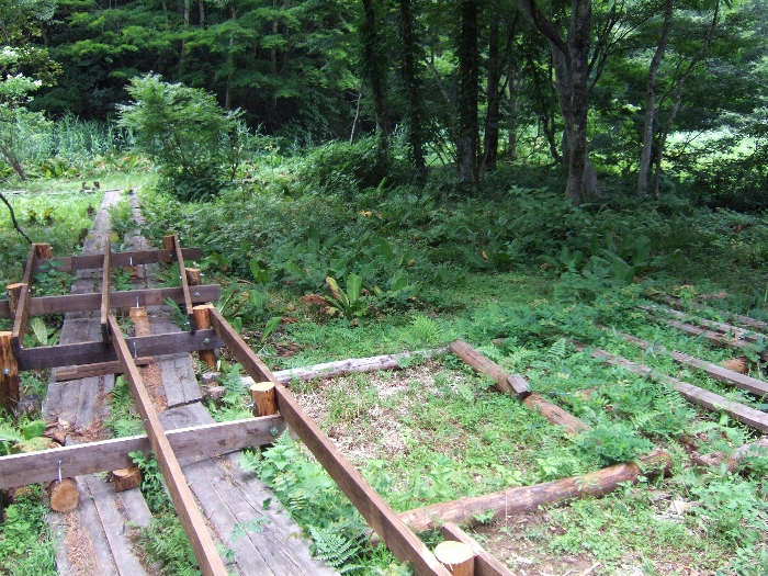 この先どこへ行くんでしょうか。 