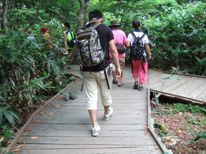 右が未完成の道。左がボードウォークのルートです。 