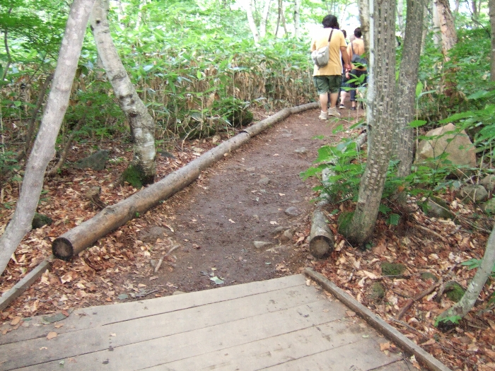 途中から板がなくなります。ここ数年進んでいません。 