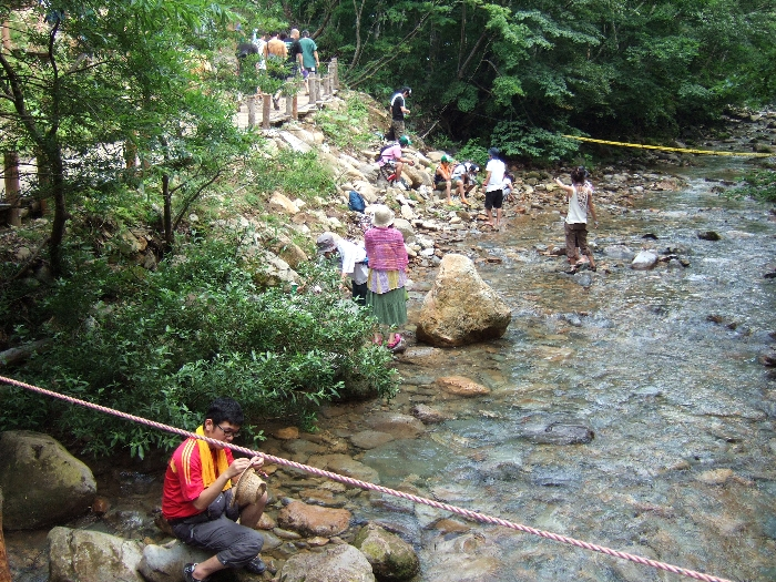 上流（グリーンステージ方面）を見ています。グリーンステージに向かって右側は立ち小便がよくあり、その小便が流れてきていると思われるのできれいな水とは言えません。 