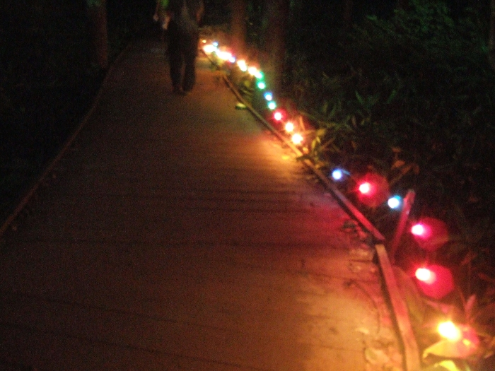 板に沿って光っている豆電球。安全上重要な役割があります。 