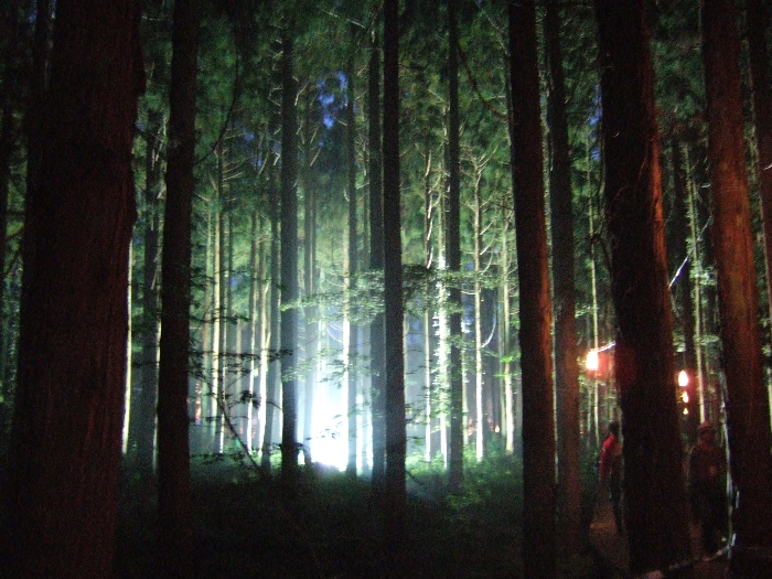 上方を照らしている光源。 