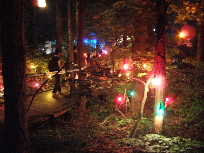 至るところにある装飾灯。 