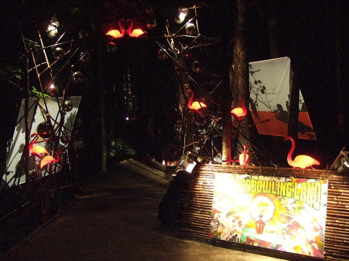 夜のミラーボーリング・ランド。 