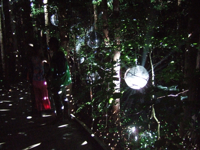 やや見えにくいが、ミラーボールを眺める人がいます。 