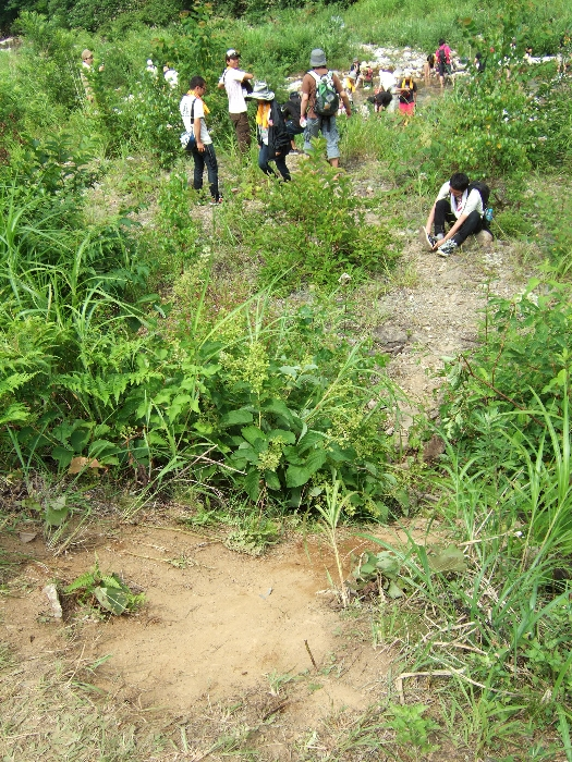 キャバレフィエスタとオレンジコートの通路には、川に降りられるところがあります。 