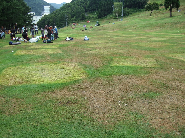 テントの跡が残る芝生その2。 