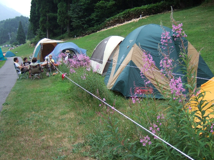 花をつぶすなというロープ。 