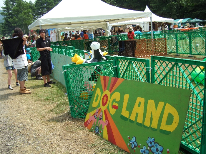 キャバレーフィエスタの奥にあるドッグランド。犬を放し飼いにできます。 