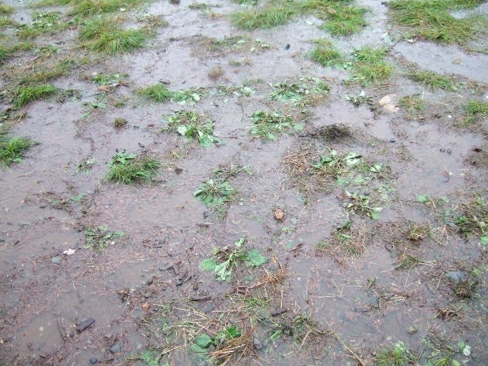 その3。かなり深さがあります。 