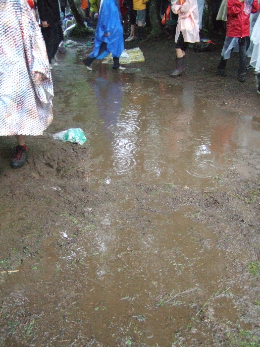 これもフジ・ロック。 