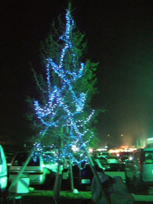 場内1駐車場にある電飾の木。 