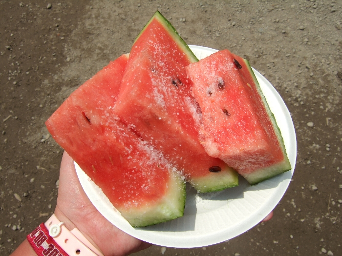 すいか。オアシスエリア。 