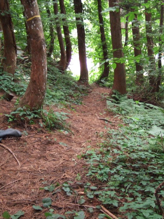 その2。昼でも通行量はほとんどありません。