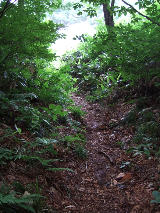 起伏も大きい。 