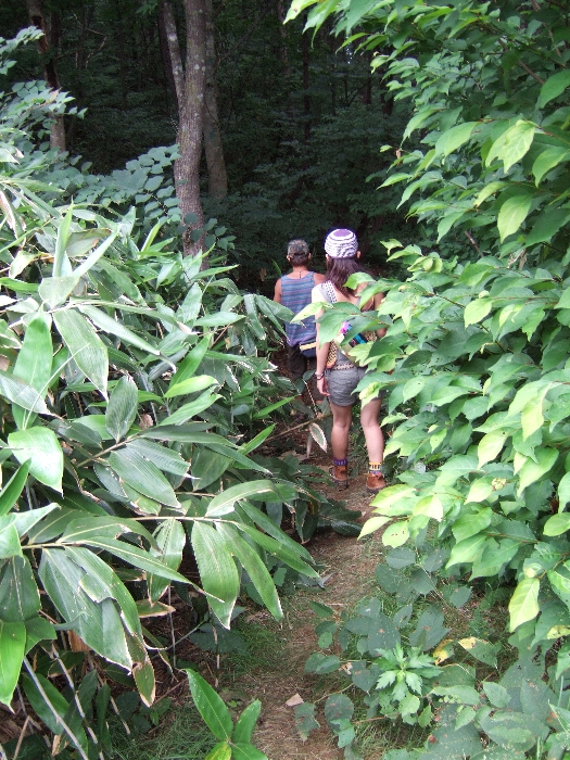 すれ違うのも難しい道幅です。 