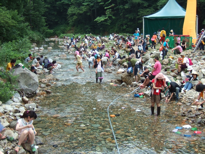 橋から下流側を撮影。 