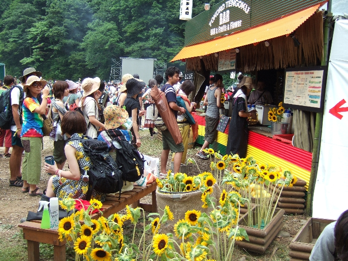 ところ天国バーの前のヒマワリ。ヘアメイクにも使われるのか。 