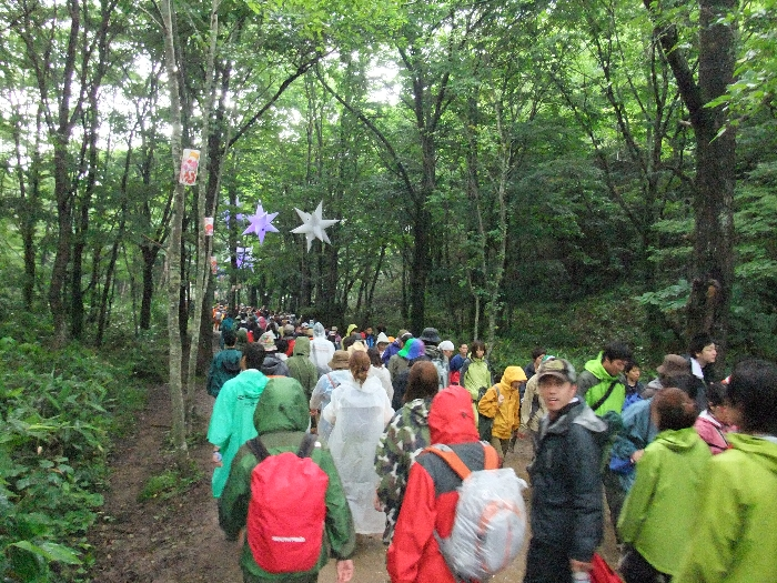 森の中のフェスティバルを強く感じさせる通路です。