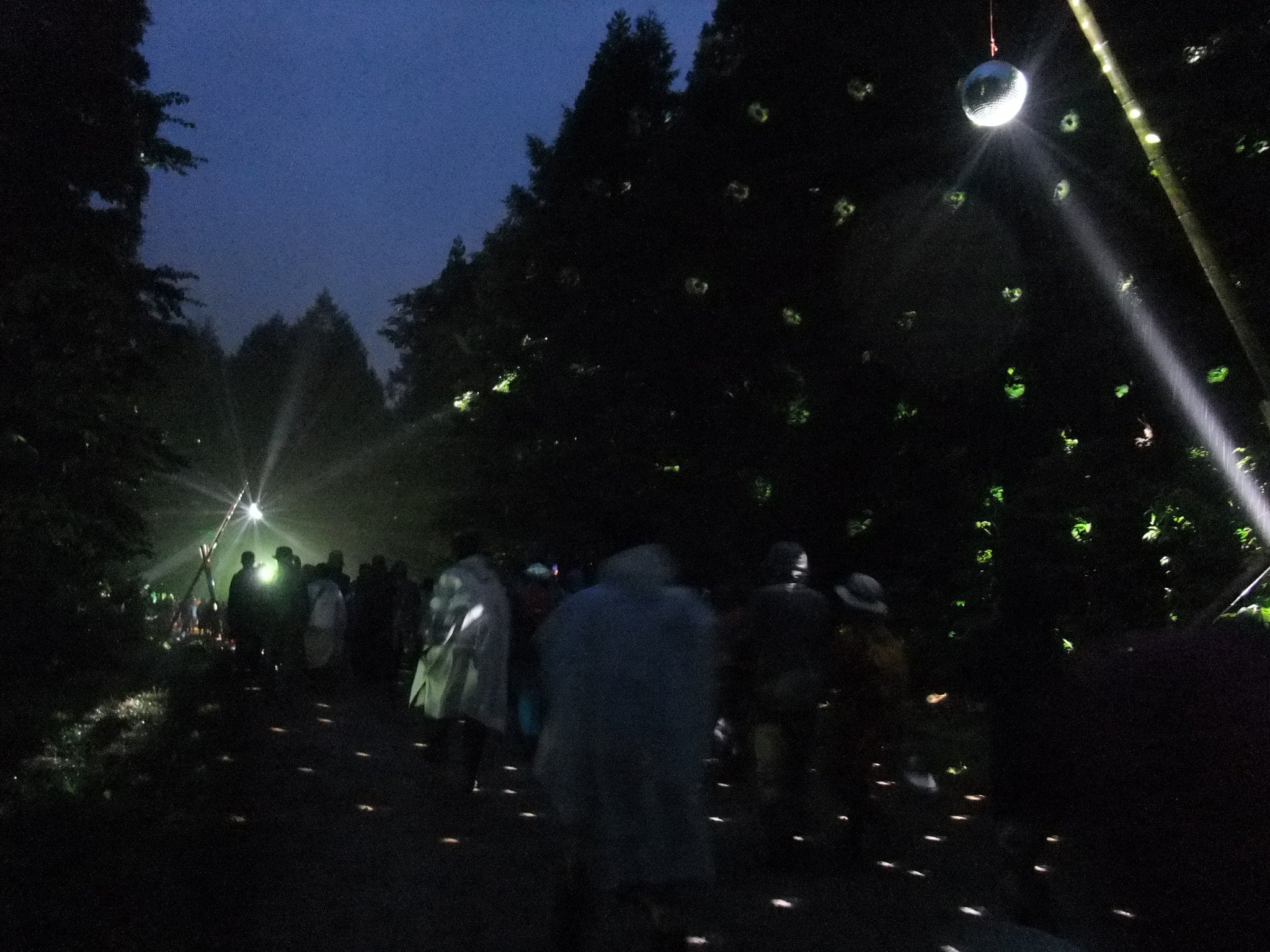 夜になるとミラーボールに光が当たります。地面をじっと見ていると酔います。