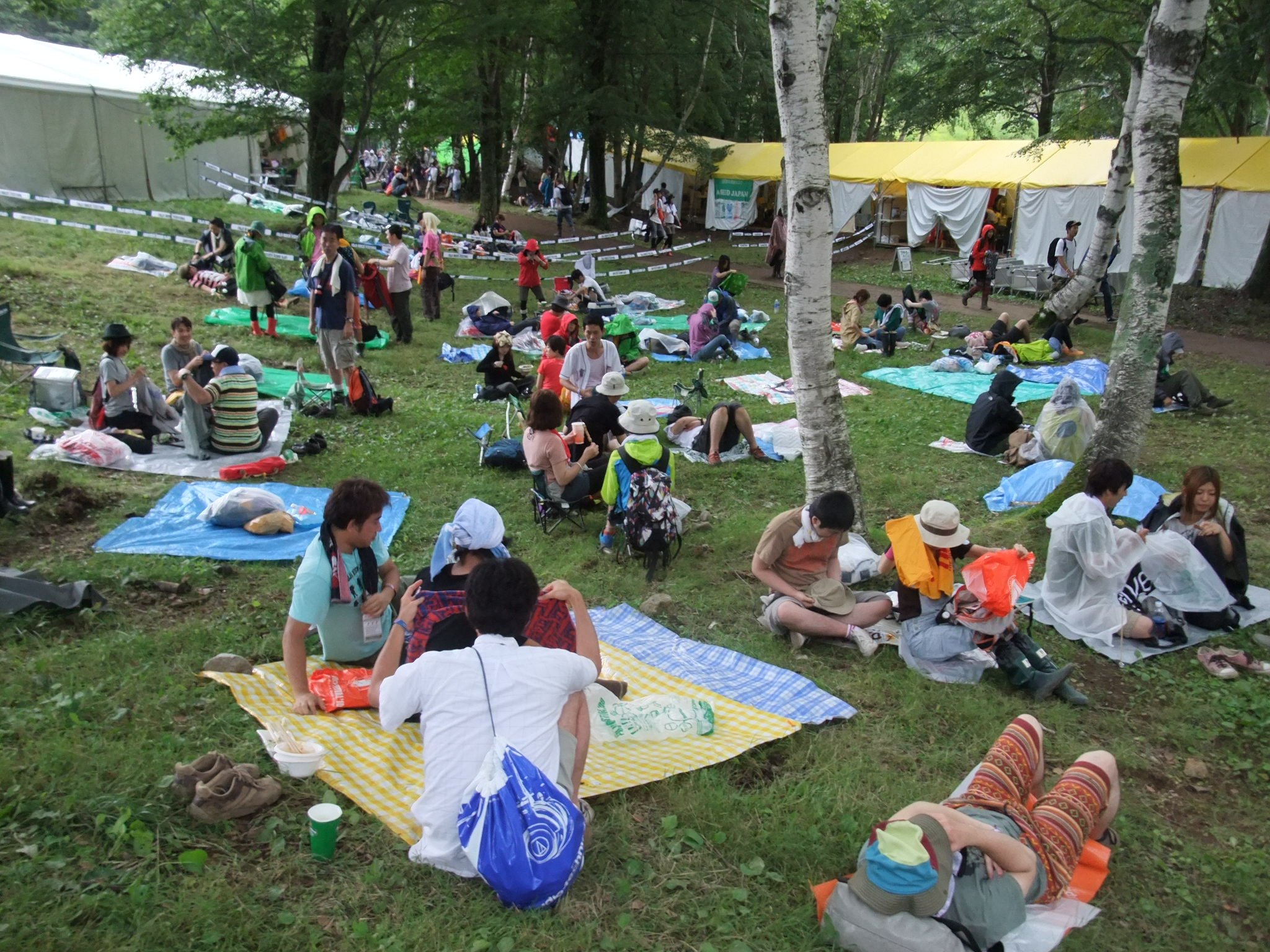 インフォメーション裏の雑草広場。A SEED JAPANの通路が確保されています。