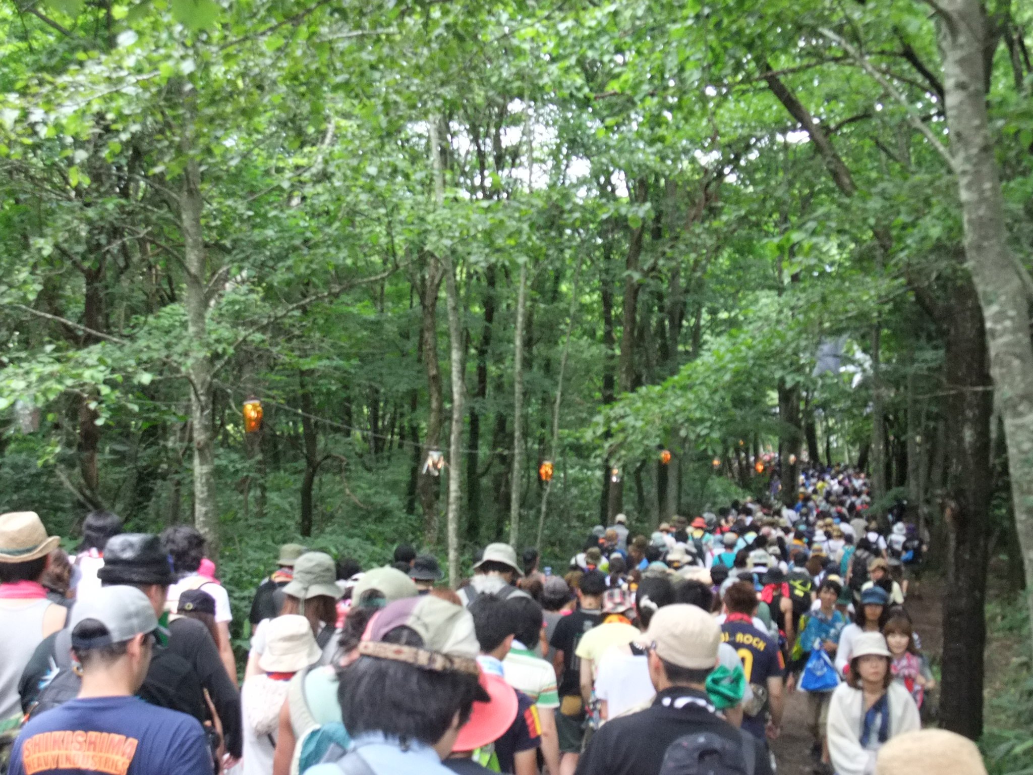 奥がところ天国側、手前がキッズランド。木々の茂みに入っていきます。