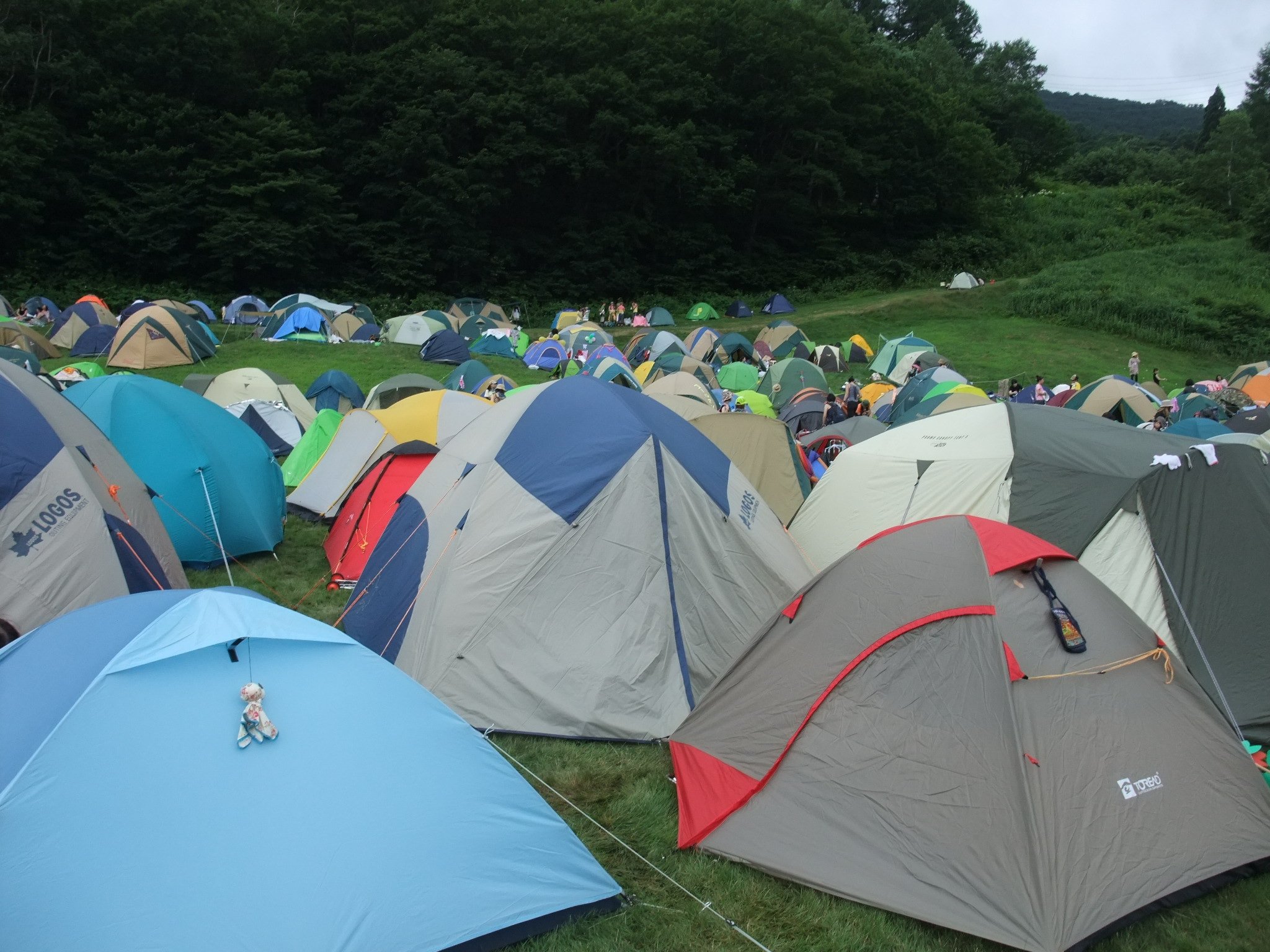 比較的平らです。