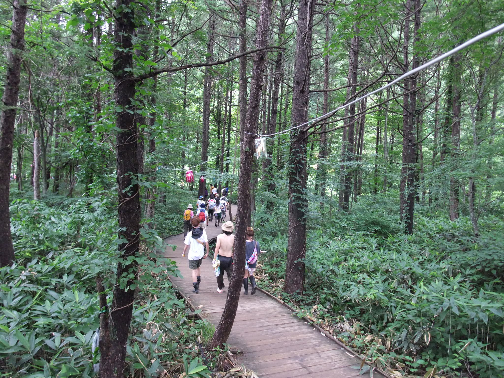 ひたすらこの光景。