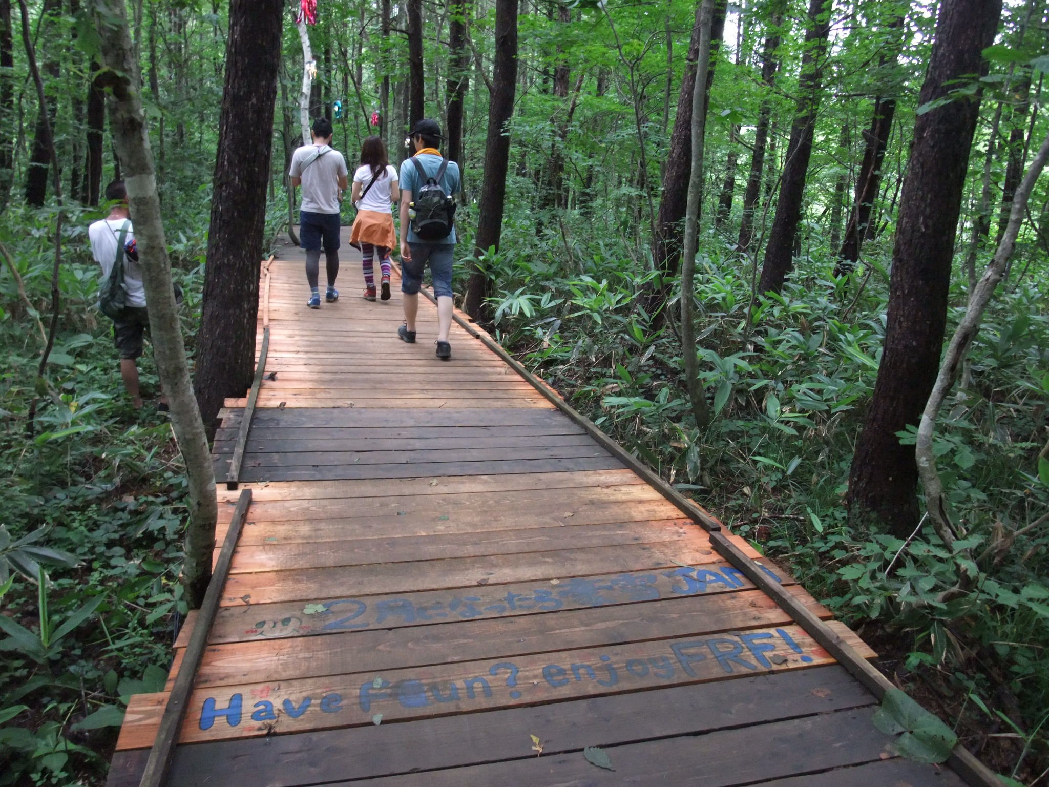 新しい板に取り替えられたところ。