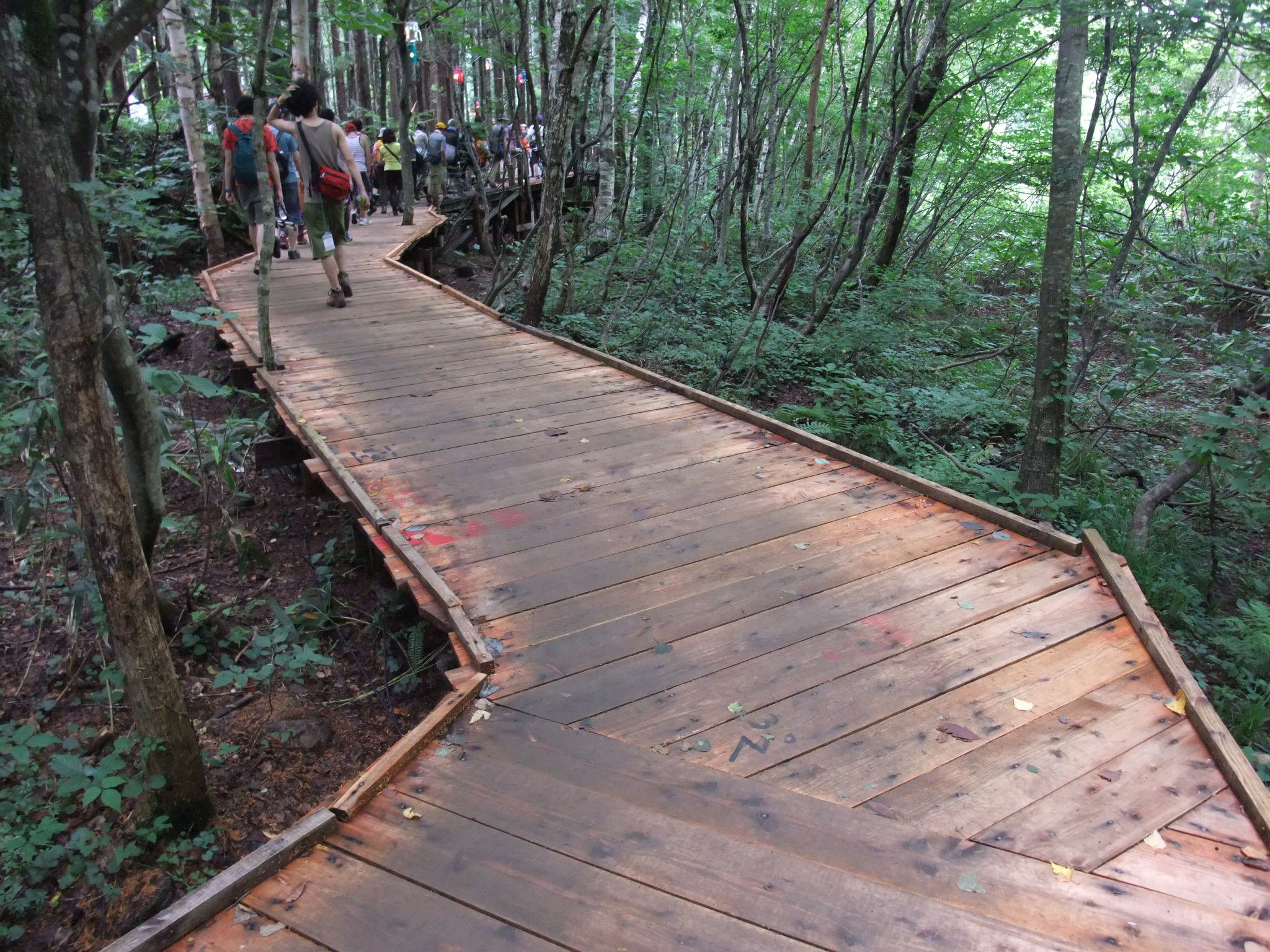 新しい板その2。