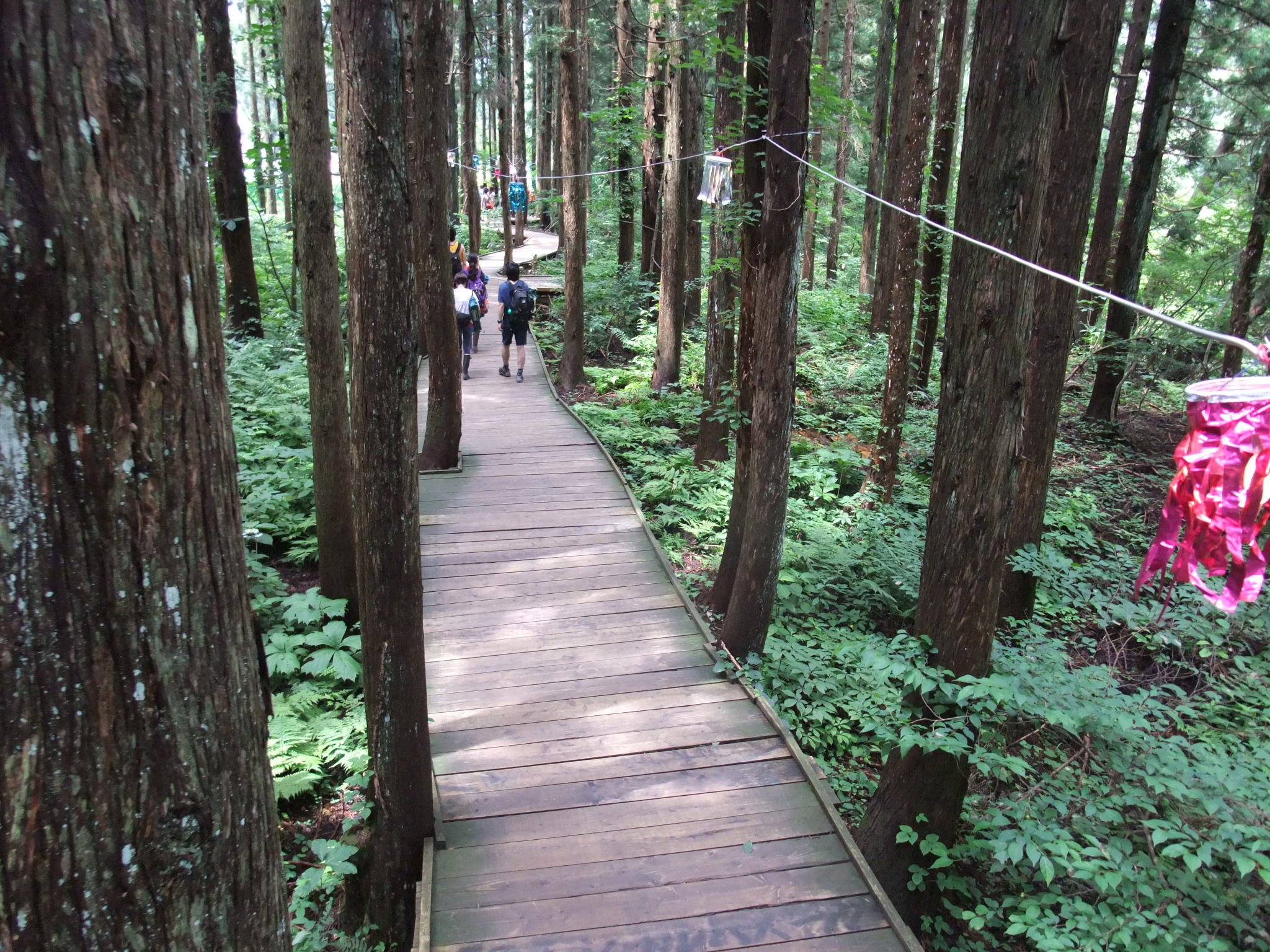 もうすぐフィールド・オブ・ヘブン。