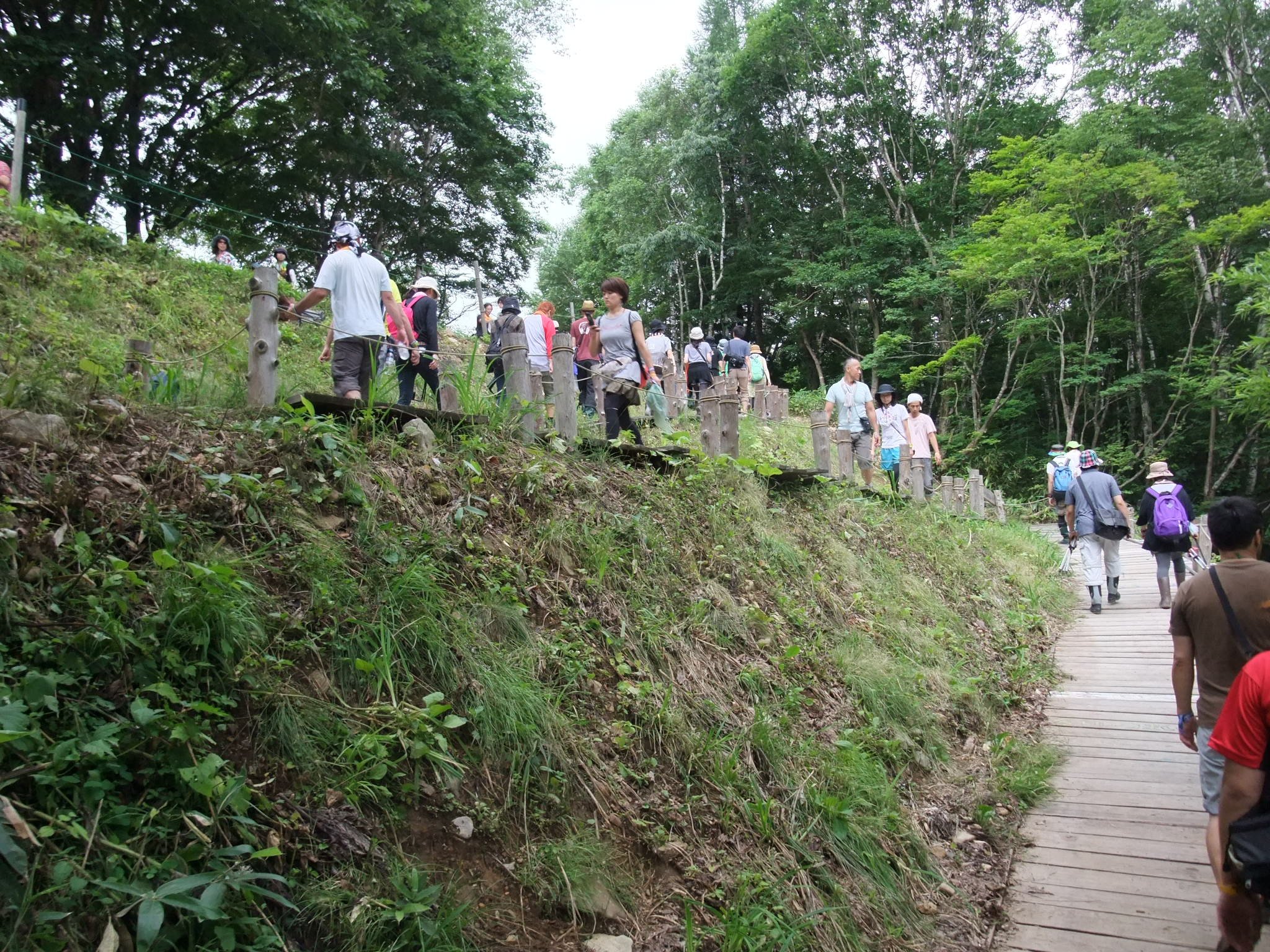 みどり橋からグリーンステージ側に上がる坂。