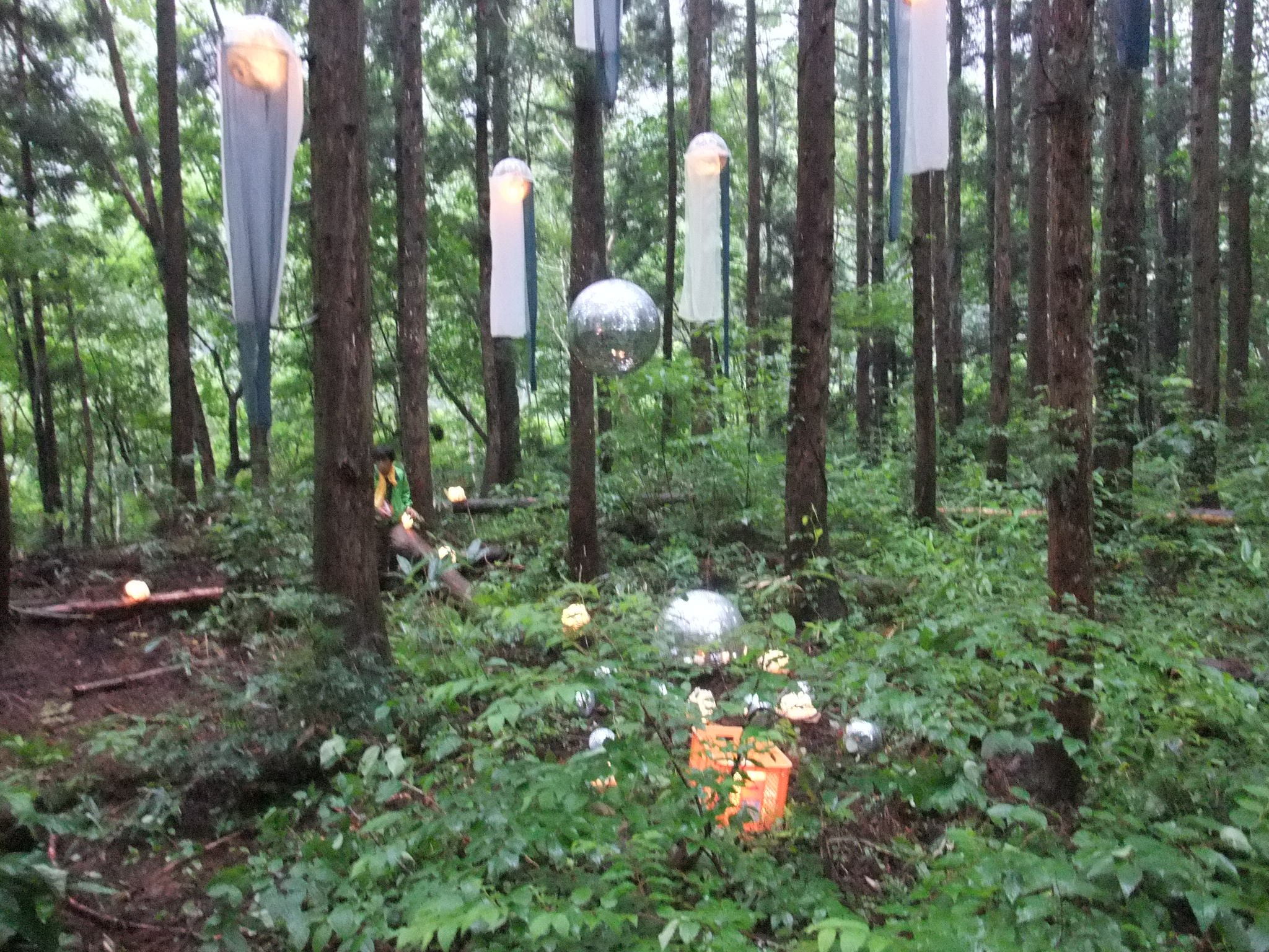 夜はもっと違った光景でしょう。