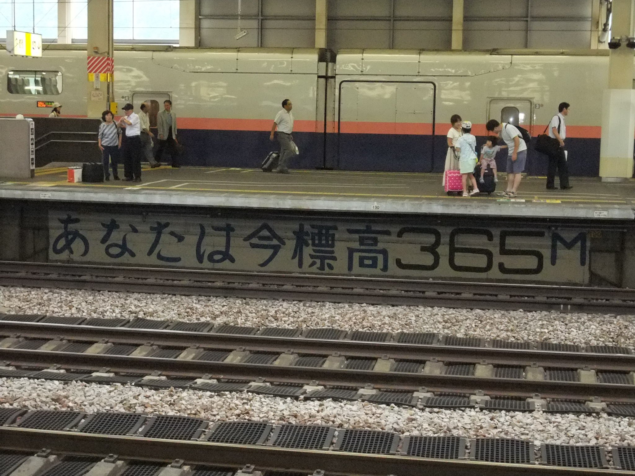 フジ・ロック会場の標高は約1000メートル。