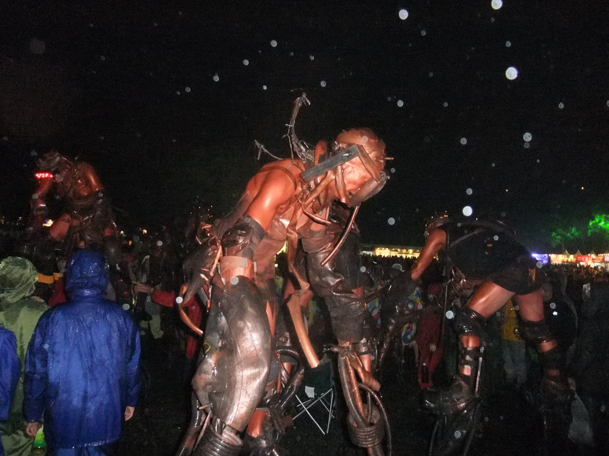 前夜祭以外では目撃できませんでした。