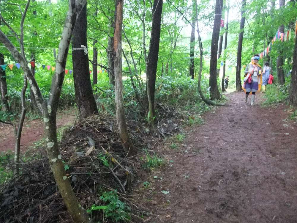 一方通行かどうかは分かりません。